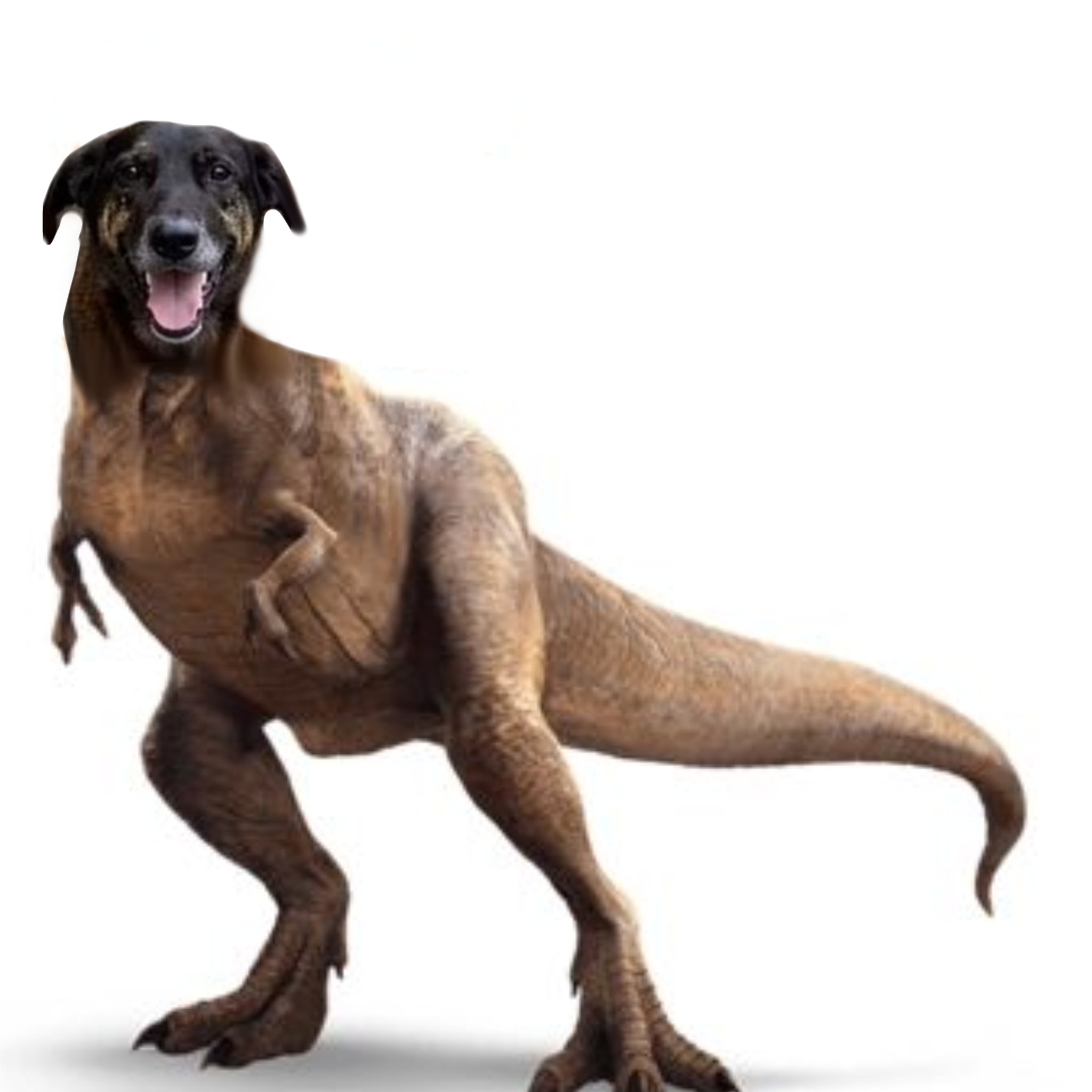 Orelhassauro-rex